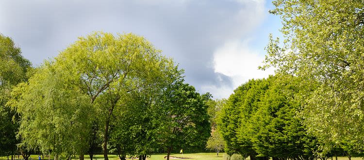 Facility_Image_Crop-Vivary_Golf_Course.jpg