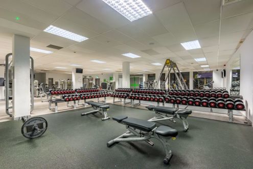 Free_weights_dumbbells.jpg